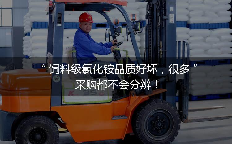 飼料級氯化銨品質(zhì)好壞，很多采購都不會分辨！