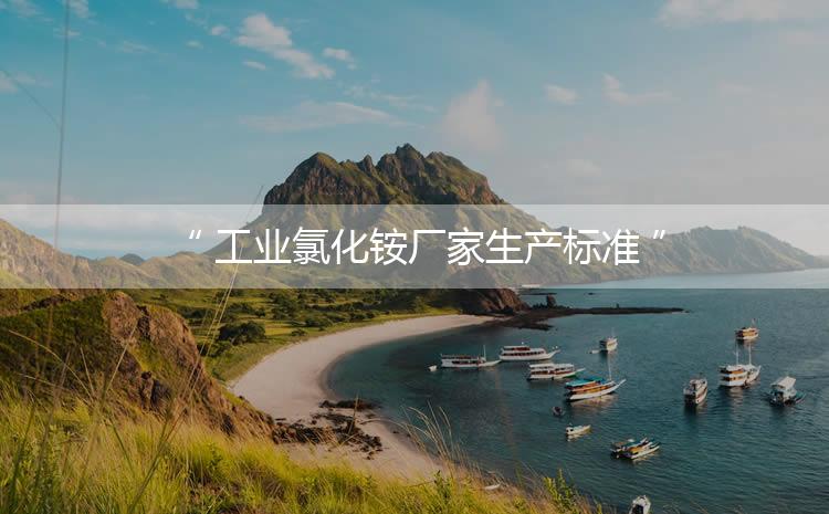 工業(yè)氯化銨廠家生產(chǎn)標準，生產(chǎn)過程進行嚴密的監(jiān)控！