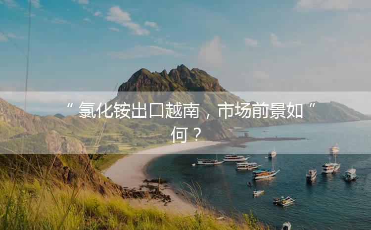 氯化銨出口越南，市場(chǎng)前景如何？